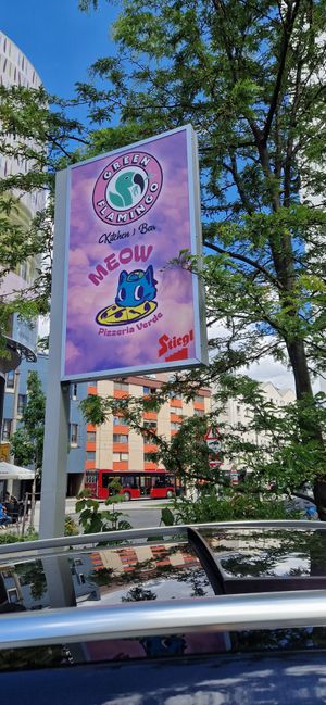  at Green Flamingo in Innsbruck