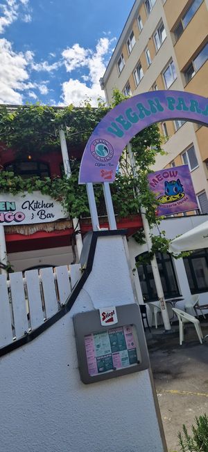  at Green Flamingo in Innsbruck