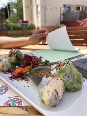 Summer rolls with peanut dip at Green Flamingo in Innsbruck