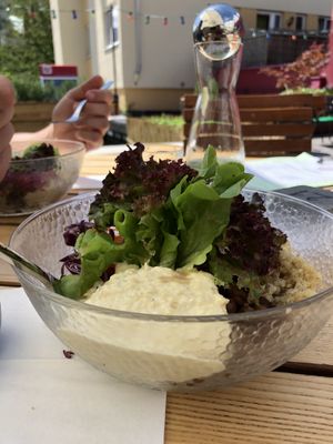 Cold veggie Bowl with humus at Green Flamingo in Innsbruck