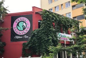 🌱 at Green Flamingo in Innsbruck