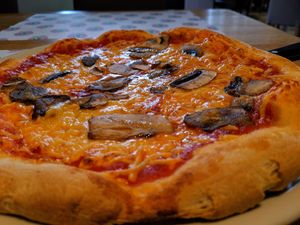 Pizzazz at Green Flamingo in Innsbruck