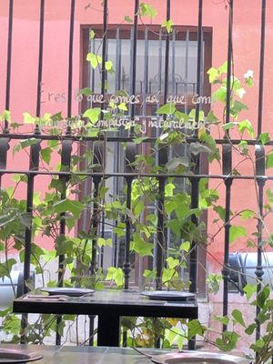   at VEGA - Alamo in Madrid