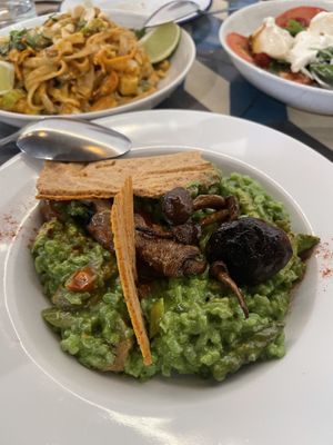   at VEGA - Alamo in Madrid