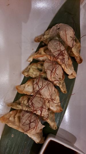 Gyoza at VEGA - Alamo in Madrid