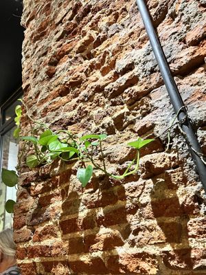 Interior details 🌿💚  at VEGA - Alamo in Madrid