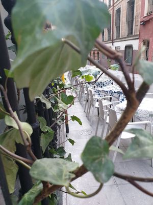 Terrace at VEGA - Alamo in Madrid