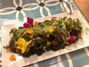 black rice risotto, so flavorful at VEGA - Alamo in Madrid