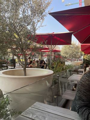Terraza at Vapiano in Las Condes