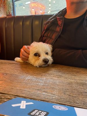   at BrewDog in Birmingham