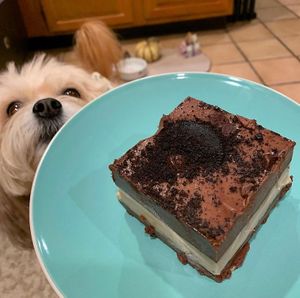 Cookies N Cream Square at How Delish HD in West Orange