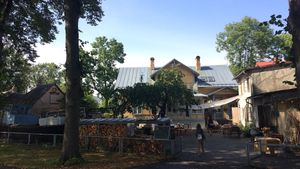 PepinoVege at Pepino Vege in Parnu