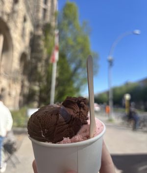Dark chocolate and plum  at Faldon Eismanufaktur in Berlin