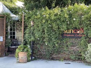   at SunCafe in Studio City