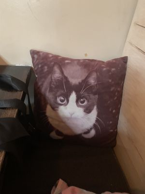   at SunCafe in Studio City