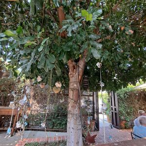  at SunCafe in Studio City