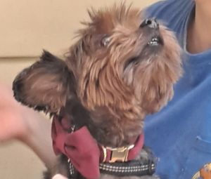 Things are lookin' up, my friend! at SunCafe in Studio City