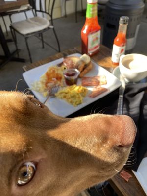 Dog friendly #Veganuary at SunCafe in Studio City