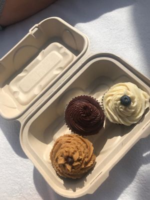 Chocolate Peanut Butter, Double Chocolate, and Lemon Blueberry Cupcakes To Go at SunCafe in Studio City