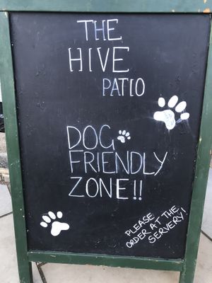 Dog friendly zone at Hive Cafe in Chelmsford