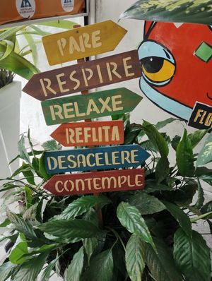 Flowing at Govinda Lanches in Porto Alegre