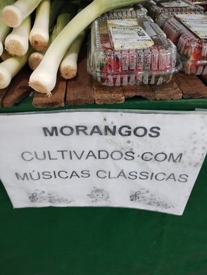 Morangos não mofados at Govinda Lanches in Porto Alegre