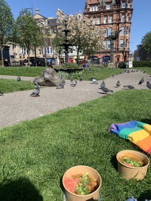 vegan chicken katsu curry   at Soul Sushi in Edinburgh