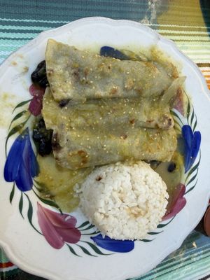 Vegan enchiladas   at Lola's Taqueria in Belvedere