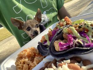 Fish and shrimp tacos at Amo Nakatl Asada in Temecula