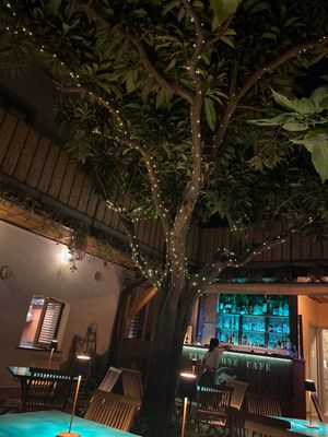   at Timoleone Veggie Restaurant & Cocktail Bar in Taormina