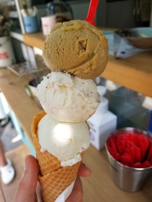  at The Cone Culture in Tbilisi