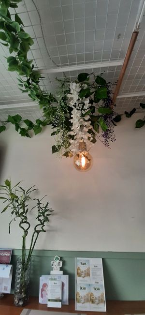  at Loving Hut - Ikh delguur in Ulaanbaatar