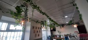  at Loving Hut - Ikh delguur in Ulaanbaatar