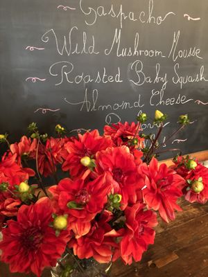 Interior  at Local Vegan in Seattle