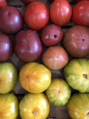 Billy’s tomatoes  at Local Vegan in Seattle