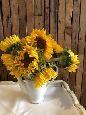 Interior at Local Vegan in Seattle