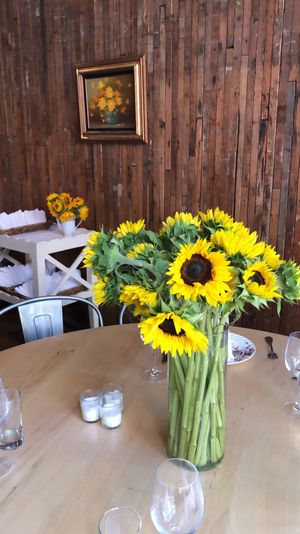 Interior  at Local Vegan in Seattle