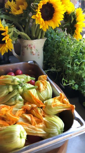 MIs en place  at Local Vegan in Seattle