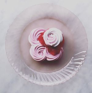 Aquafina Pavlova  at Local Vegan in Seattle