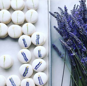 Lavender Macarons  at Local Vegan in Seattle