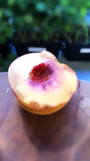 Peach Season  at Local Vegan in Seattle