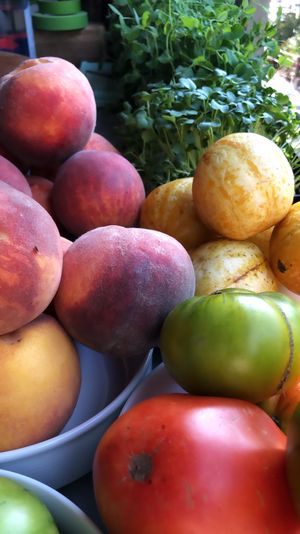 MIs en place  at Local Vegan in Seattle