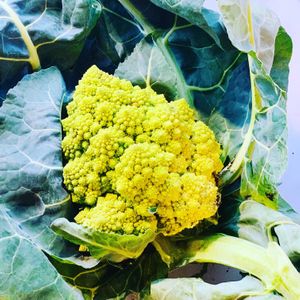 Romanesco at Local Vegan in Seattle