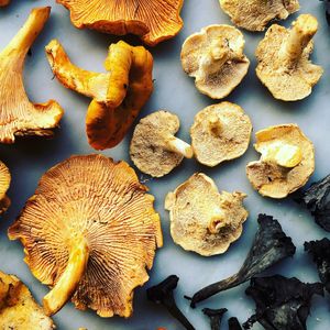 Golden Chantrelle, Hedgehog, Black Trumpet mushrooms  at Local Vegan in Seattle