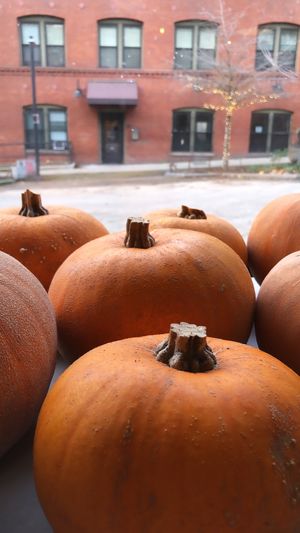 Winter Luxury pumpkins from one leaf farm at Local Vegan in Seattle