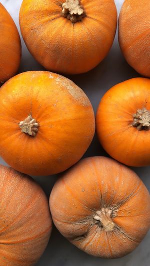 Winter Luxury pumpkin  at Local Vegan in Seattle