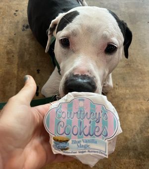   at Courtney's Cookies in Coral Gables