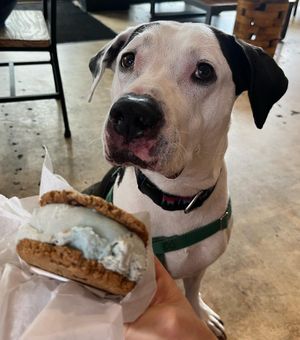   at Courtney's Cookies in Coral Gables