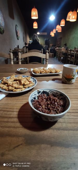 Friend Spring Rolls + Tofu with lemongrass and brown rice at Ngon Vegan Restaurant in Tam Coc