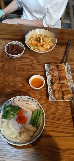Sping rolls, peanut tofu, brown rice, rice noodle soup bowl at Ngon Vegan Restaurant in Tam Coc